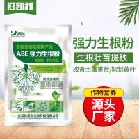 廠家批發生根粉壯秧劑抗重茬微生物菌肥生根劑 ABE強力生根